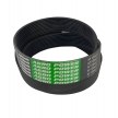 AP1000981 - Optibelt - Ribbed Belt 