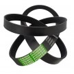 AP1004259 - Optibelt - Ribbed Belt 